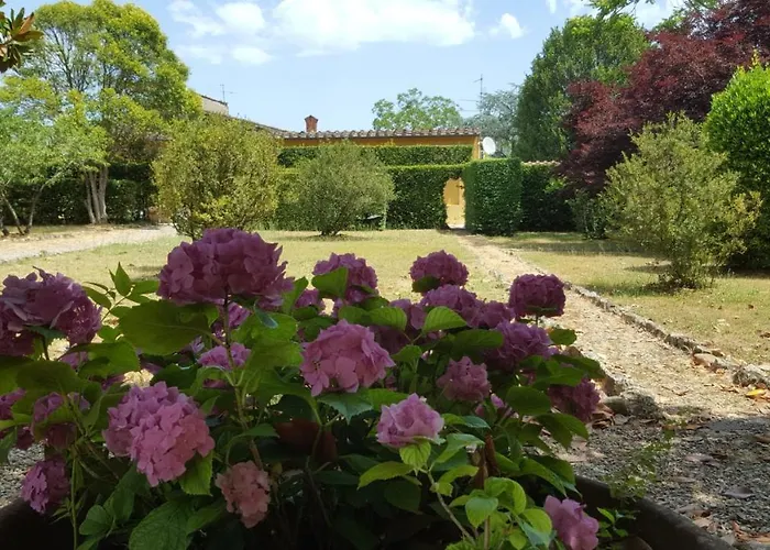 la limonaia